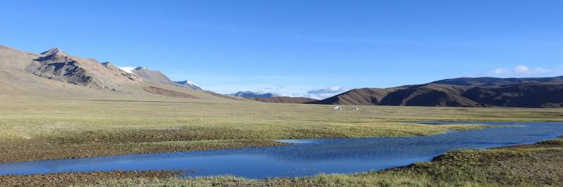 Vue panoramique du plateau des lacs Kyun Tso (Le Nidar La est tout au fond)