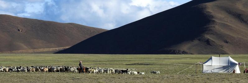 Campement de nomades tibétains sur le plateau des lacs Kyun Tso
