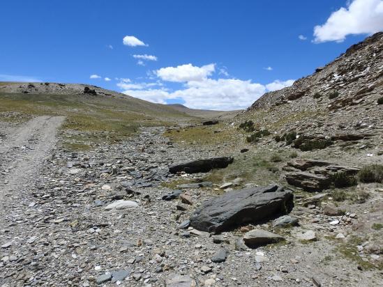 Sur la piste du Salkom La