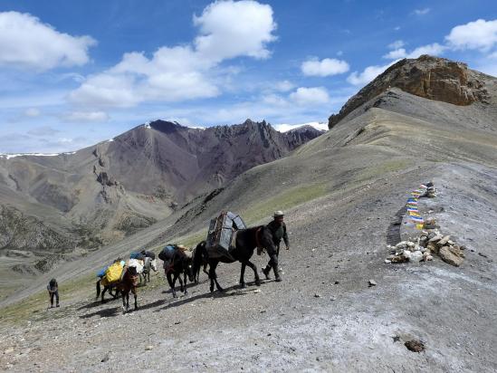 Arrivée de la caravane au Chagstang La