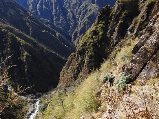 L'ile de la Réunion ? Non, non, vous êtes bien sur la GHT au Népal (sentier entre Thudam et Chyamtang)