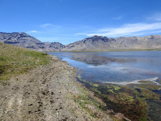 Sur le rivage SE du lac du Tsomo Riri