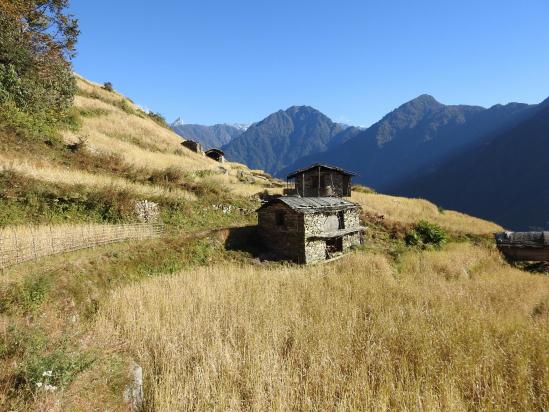 Les terrasses de Gimbar face à Hungung