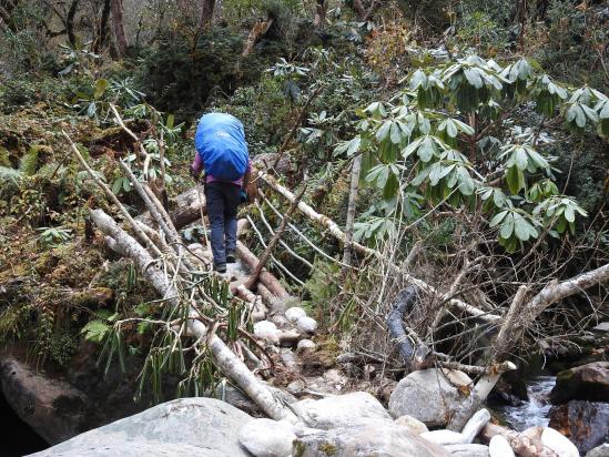 Le petit pont de bois (qui ne tenait plus guère...) sur la Saldim khola