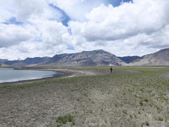 Dans l'entrelacs des bras du lac...