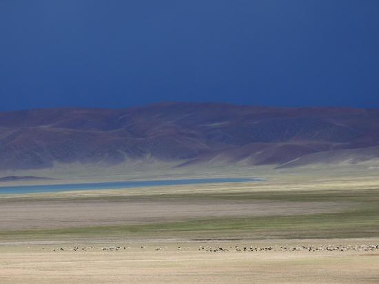 Sur le plateau des Kyun tso, ça va pas tarder à tomber...