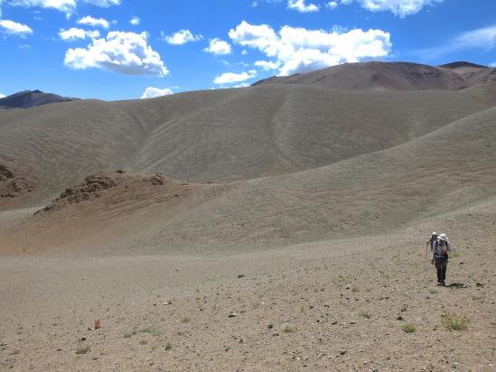 Au milieu d'un reg de la plus belle obédience marocaine, à l'approche de Nyima gonpa