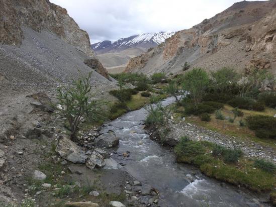 Dans les gorges sablonneuses entre Nyima gonpa et Datstane