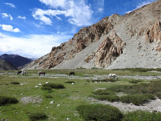 A mi-chemin de la descente de la vallée de la Changlung togpo