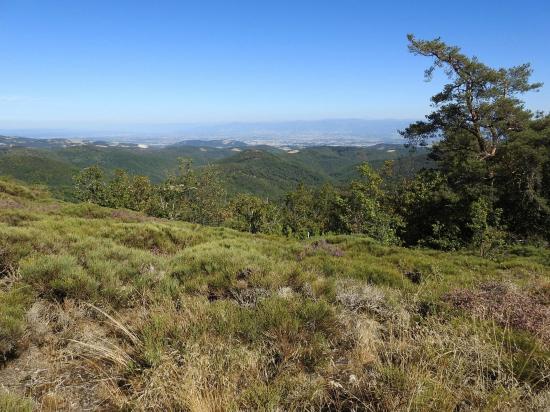 Point de vue sur la vallée du Rhône et les contreforts W du Vercors depuis le Serre de Lierne