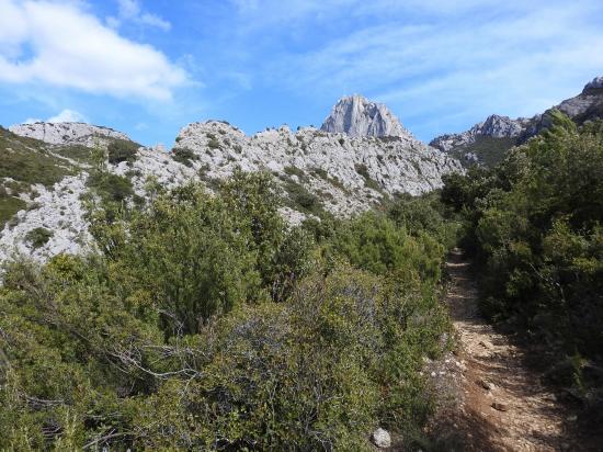 Le pic de Bertagne domine la vallon des Crides