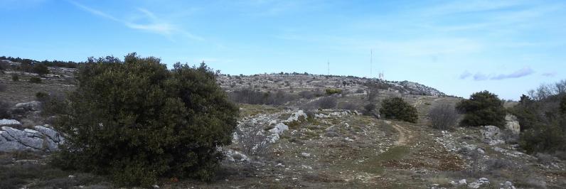 Sur le plateau sommital à l'ouest de la Sainte Baume