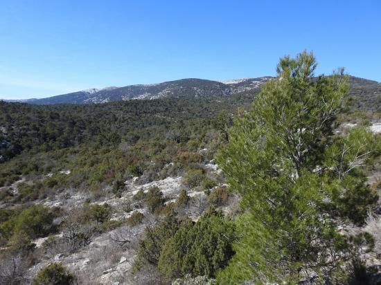 La Sainte Baume vue depuis le GR9 lors du contournement de la propriété de Font Mauresque