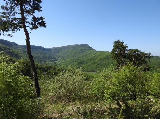 Sur la crête au départ de Combovin