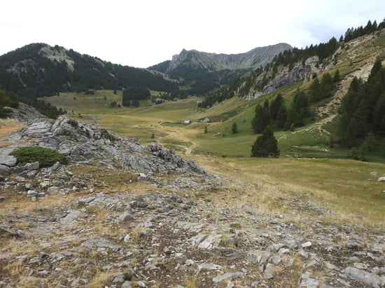 Le plateau au centre du cirque de Morgon