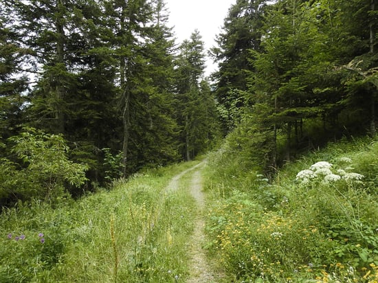 Sur le sentier des Pyramides, au début...