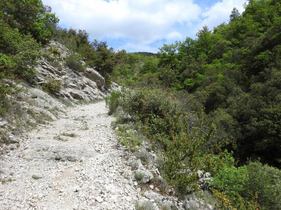 Montée vers le hameau de la Gabelle