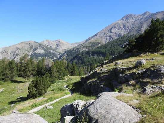 Sur le chemin d'accès à la tourbière du Laus