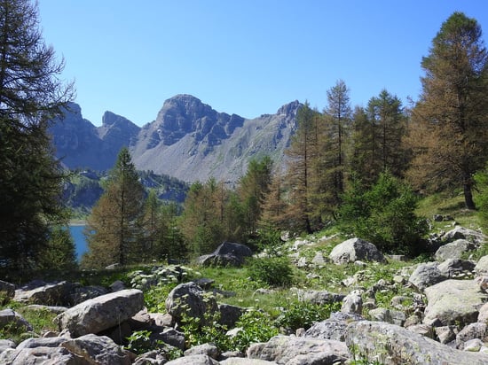 A l'approche de la cuvette du lac d'Allos (au fond, quelques unes des fameuses Tours...)