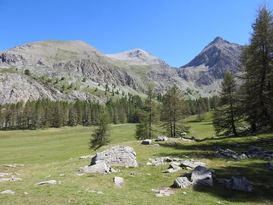 La grande prairie au pied du mont Pelat (au fond, le sommet E à 2973m et le trou de l'Aigle, le sommet W du Pelat à 3051m est caché...)
