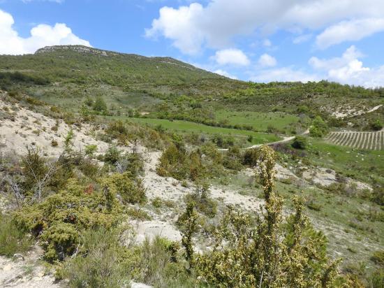 Sous la montagne de Banne