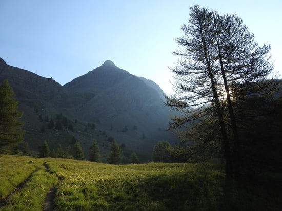 Départ de bon matin par la traversée de prairies humides face au sommet du Trou de l'Aigne, voisin du Pelat