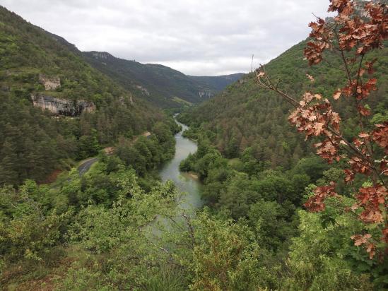 En remontant la rive gauche du Tarn depuis Le Rozier