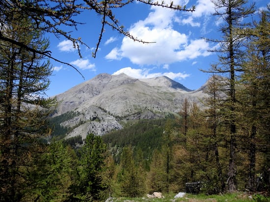 Sur le chemin de retour au parking du Laus, un dernier regard sur le Mont Pelat