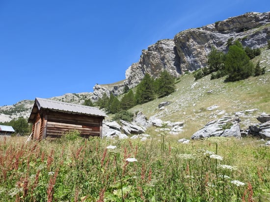 A la cabane forestière de l'Auriac