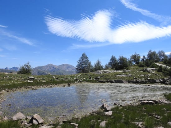 Le laquet de l'Auriac