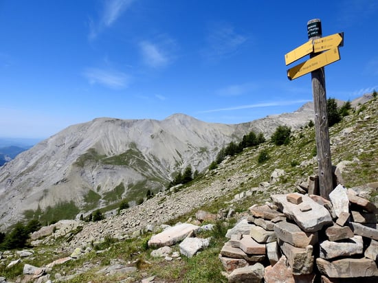 A la baisse de l'Auriac face à la crête de Chabrières