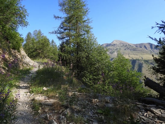 Départ en forêt du parking de Rouanne Haute