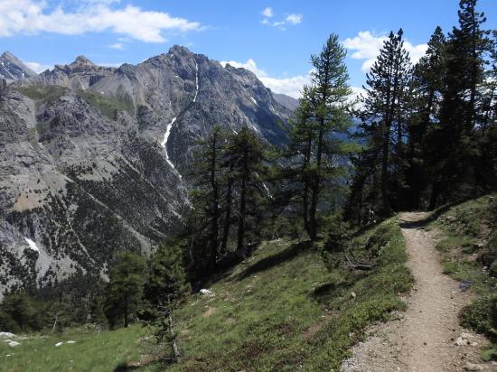 Retour vers la vallée en forêt face au sommet de Giau