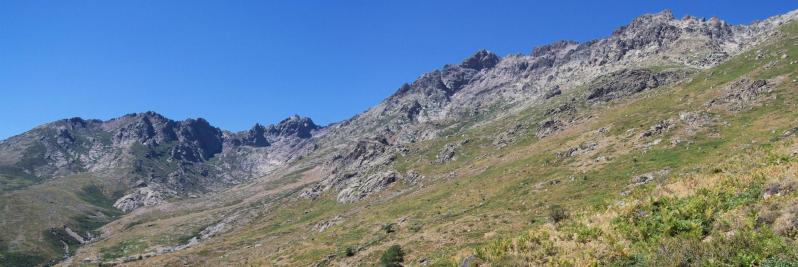 Le vallon de l'Ercu avec le Capu Falu tout au fond