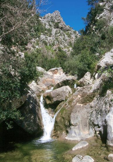 Es Barranc (descente du col de l'Ofre)