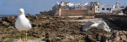 Essaouira