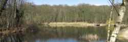 Forêt de Bondy