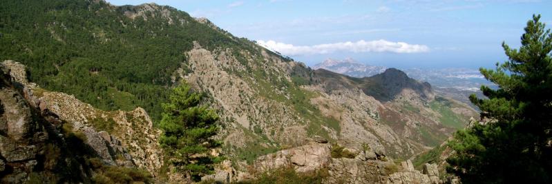 En s'élevant le long du vallon de Frintognia