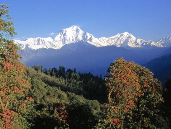 Au printemps, panorama depuis le col de Ghorepani