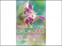 Expo 1001 orchidées 2023 (Jardin des Plantes)