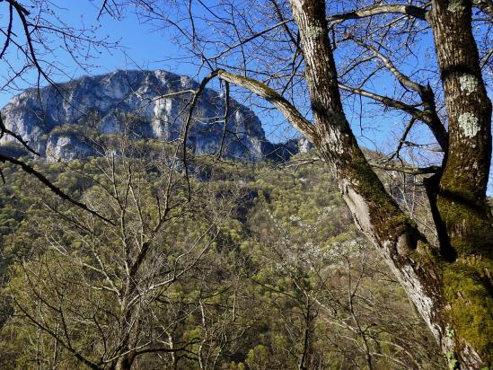 La Carriere (la montagne de l'Echarasson)