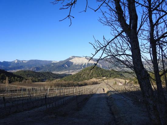 Au-dessus de Laval d'Aix dans la montée vers le col d'Ayaste (Serre Chauvière)