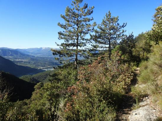 Sur le GR91 à l'approche du Serre des Granges