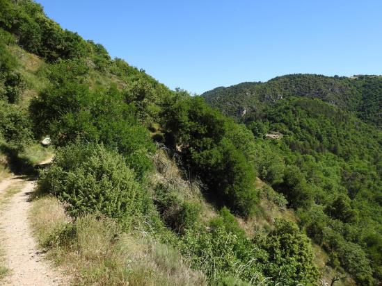 A l'approche de Saint-Sorny