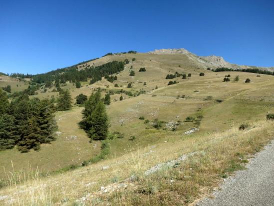 Sur la route du col de Gleize (Pic de Gleize)