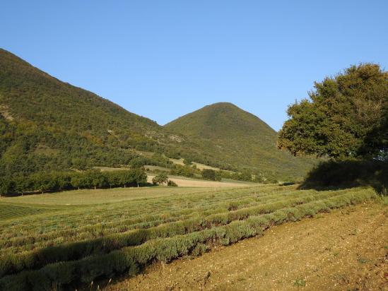 Montée au col de Vesc