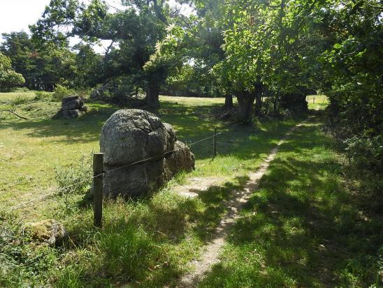 Mégalithe à Champis