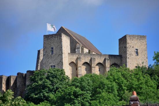 Château de la Madeleine (Chevreuse)