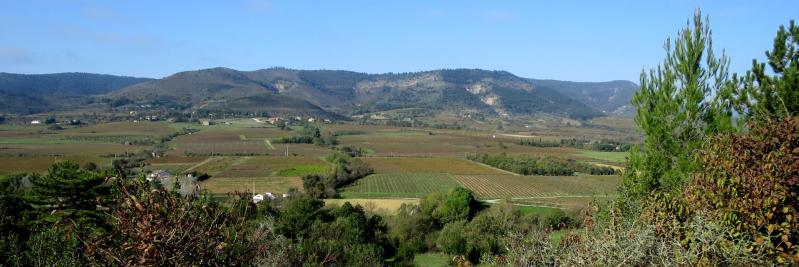 La vallée du ruisseau de Bourdary avec le sommet de la Croix Juliau à l'horizon
