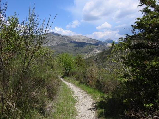 Sur le GR4 entre La Palud et le vallon du Baou